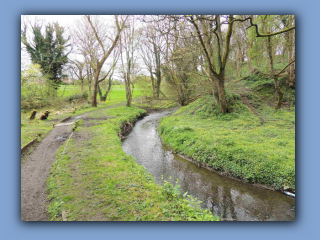 Hetton Burn. 18th April 2024 2.jpg